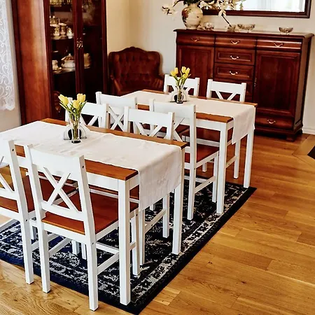 民宿 Goscinne U Ewy *